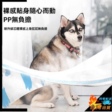 【台灣出貨】大型犬紙尿褲 母狗公狗專用紙尿褲 薩摩耶狗狗生理褲 女狗寵物尿不溼 大狗生理褲