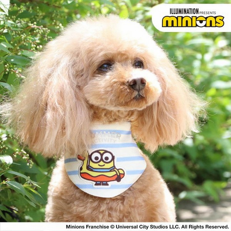 犬 猫 バンダナ 夏 夏用 クール クールバンダナ 保冷剤付き ひんやり 小型犬 暑さ対策 ミニオン あひる ネッククーラー 小型犬 メール便可 通販 Lineポイント最大get Lineショッピング