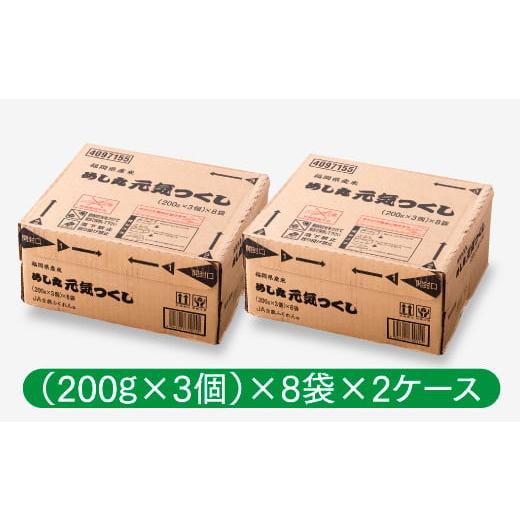 ふるさと納税 福岡県 新宮町 BC007.福岡県産「元気つくし」無菌パックご飯(４８パック)