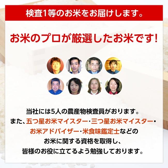 令和5年産 山形県産 ひとめぼれ 玄米30kg