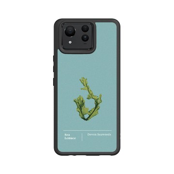 Zenfone 11 Ultra SolidSuit 黑 - The Seaweed Studio - 德文郡・美扇藻研習