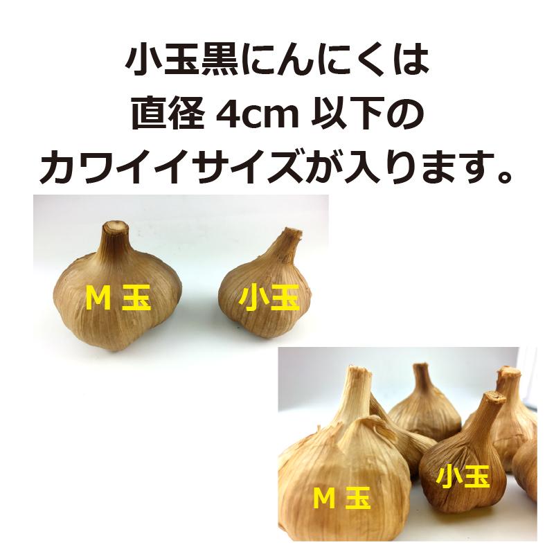 黒にんにく 小玉 3kg 送料無料 国産 青森県産 福地ホワイト六片種 ニンニク 無添加 美容 健康 食品 宅配便