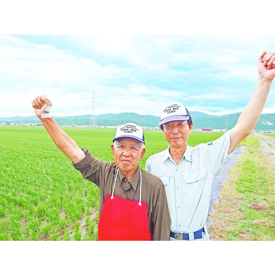 福井県産 いちほまれ 白米 5kg 令和4年産