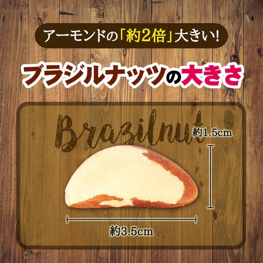 ブラジルナッツ 500g アマゾンのスーパーナッツ 産地直輸入 海外では有名な栄養価の高いナッツ！チャック付き袋 常備食