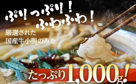 国産牛もつ　もつ鍋セット　10人前　1,000g　　BU001