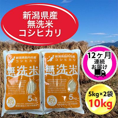 ふるさと納税 胎内市 新潟県胎内市産コシヒカリ無洗米10kg(5kg×2袋)全12回