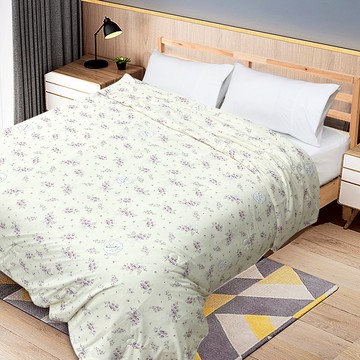【多利寶寢具】INDIAN 雪肌涼感紗夏涼被-南法香頌