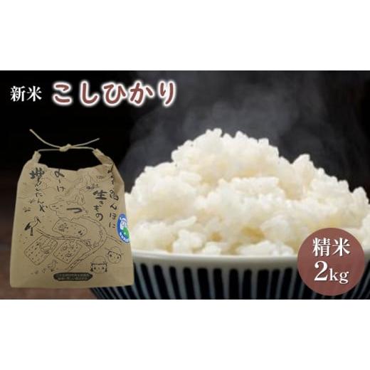 ふるさと納税 福井県 若狭町 こしひかり2kg（令和5年産）特別栽培米　若狭・天狗山農園