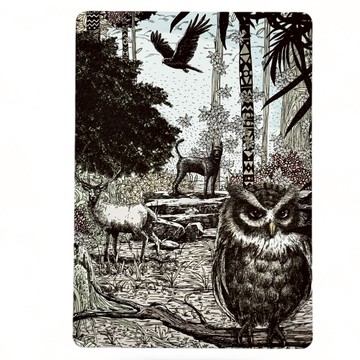【森林動物系列】守護森林-貓頭鷹厚卡明信片