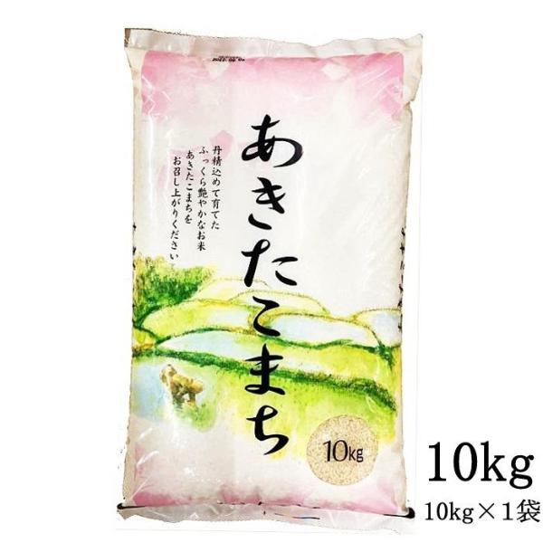 米 10kg 新米 令和5年産 あきたこまち 国内産 白米 10kg(10kg×1袋) 送料無料 お米 10kg