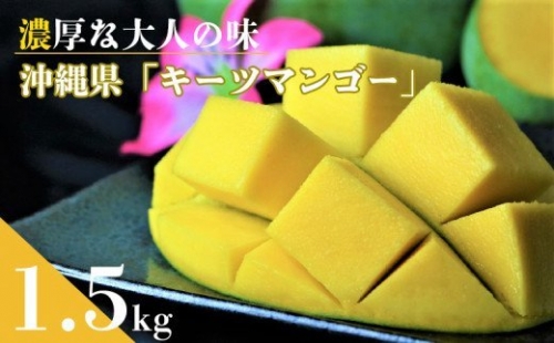 濃厚な大人の味　沖縄県「キーツマンゴー」1.5kg