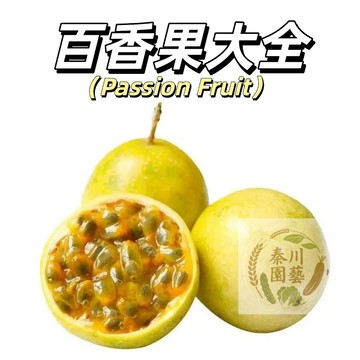 台灣現貨（百香果種子大全）滿天星百香果 黃皮紅皮紫皮金蜜百香果超甜本土耐高溫水果之王新手四季播種@食用水果種子