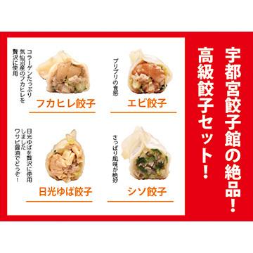 さくら食品宇都宮餃子館 宇都宮餃子館　贅沢4種セット　8個×6パック(タレ付き)