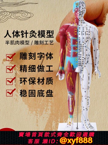 {可打統編 保固一年}高清85cm中醫針灸穴位模型教學全身家用十二經絡圖人體解剖小銅人