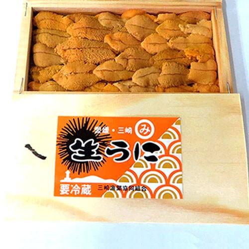 生ウニ 板ウニ 60g8枚 愛媛 天然 紫ウニ 赤ウニ 素潜り海士 送料無料 北海道 沖縄 東北は別途送料 浜から直送 宇和海の幸問屋 愛媛百貨店