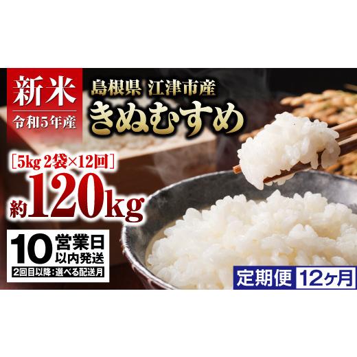 ふるさと納税 島根県 江津市  島根県 江津市産 邑智郡産  きぬむすめ 10kg×12回令和5年産 新米 白米FY-3