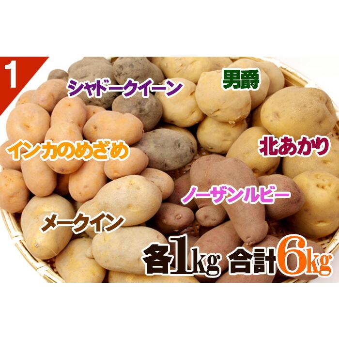 じゃがいも 食べくらべ 北海道産 6種 1kgずつセット 合計6kg（ 男爵 北あかり メークイン インカのめざめ シャドークイーン ノーザンルビー ）