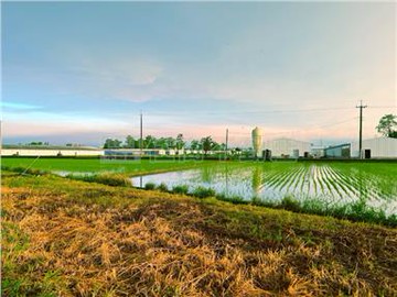 六甲龜子港1.8分農牧用地｜台南市六甲區龜子港