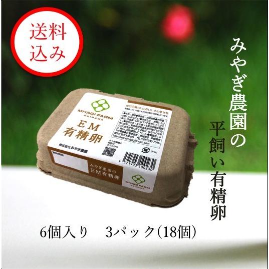 みやぎ農園の平飼い有精卵　(6個入り3パック※18個)