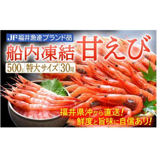 ふるさと納税 福井県 越前町 [e12-a024] 甘えび 特大サイズ30尾（計500g）船内凍結 福井県沖から直送！鮮度と旨味に自信あり【福井漁連 ブランド品 甘エビ あ…