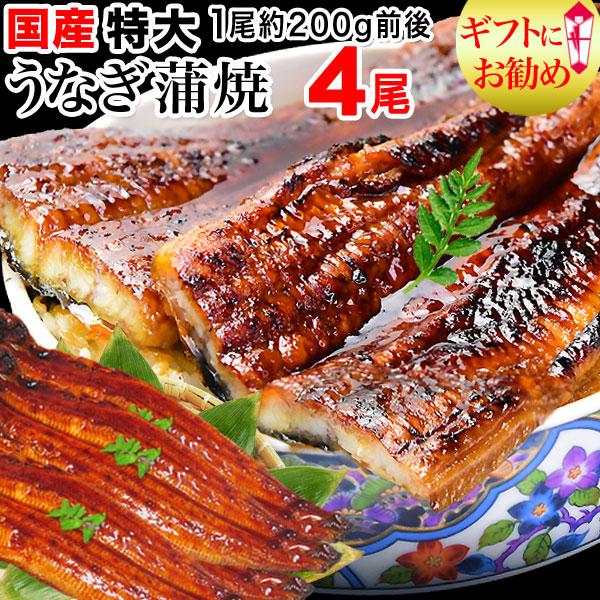 ギフト うなぎ 蒲焼き 国産 鰻 うなぎ蒲焼き 九州産 4尾 特大(約180〜200g前後×4尾)宮崎・鹿児島県産 セール 送料無料