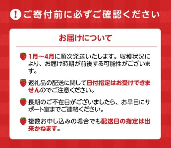 あまおう 約270g 4パック×3回 計12パック_Fi301_定期便 3回 いちご あまおう 約270g×4パック × 3回 計12パック 果物 フルーツ ストロべリー 福岡県 九州 お取り寄せ 2024年1月より順次発送 おやつ スイーツ パフェ ショートケーキ パンケーキ スムージー ジャム お菓子作り 送料無料