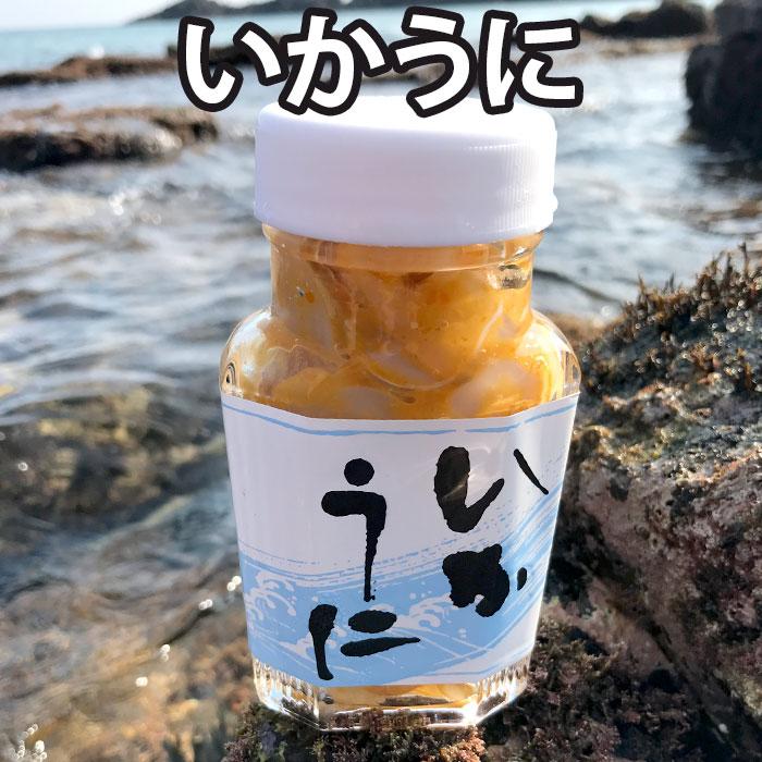 D 本尾海産 いかうに 110g 雲丹 いか 烏賊 珍味 惣菜 ごはんの友 送料込（北海道・沖縄は別途送料）