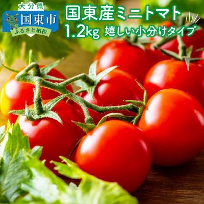 ふるさと納税 国東市 国東産ミニトマト1.2kg※嬉しい小分けタイプ_1053R