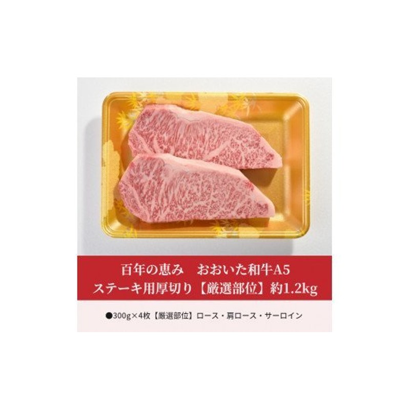 A01105】百年の恵み おおいた和牛A5 ステーキ用厚切り【厳選部位】約