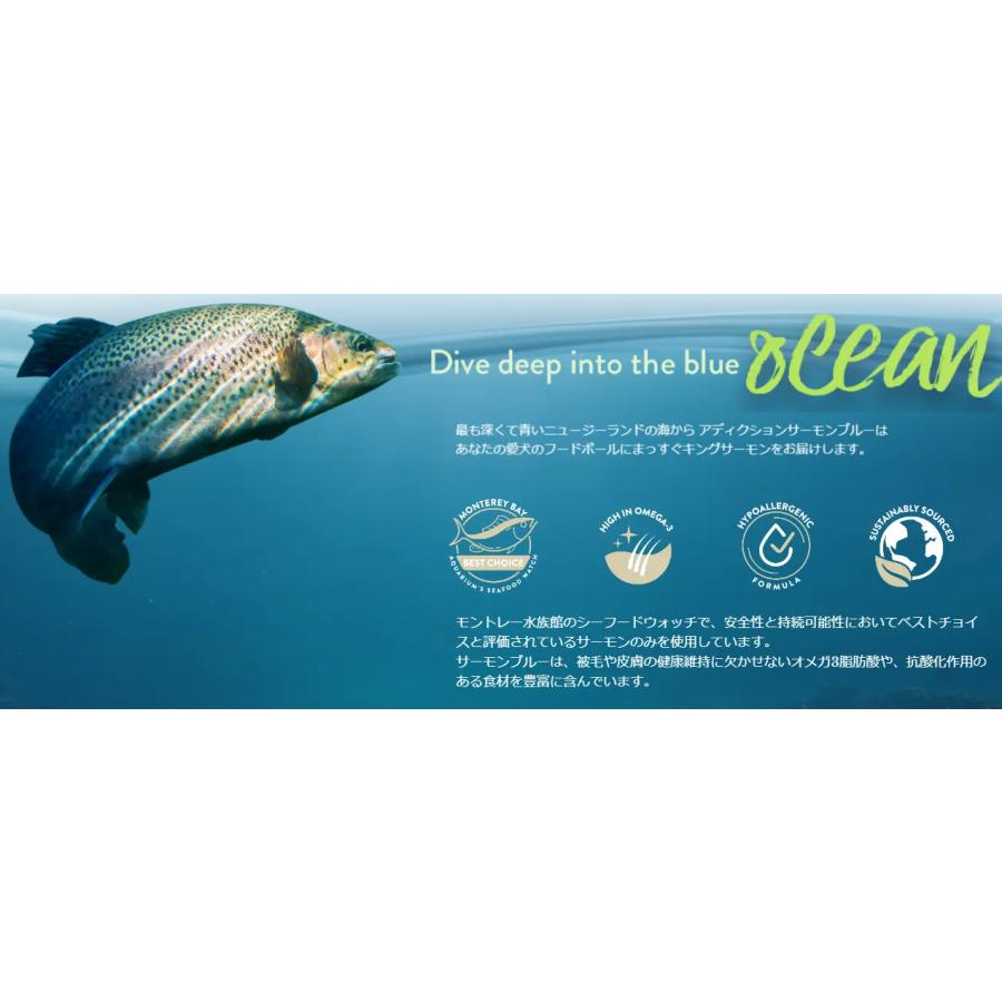 メディコートアレルゲンカット 魚＆お米 1歳から 5.5kg 2025.6まで