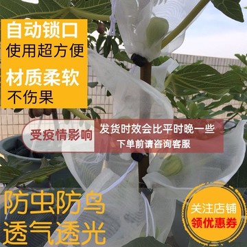 水果套袋 防蟲袋 枇杷葡萄袋火龍果桃子無花果蓮霧套袋防鳥神器防蟲專用水果絲網袋『my2034』