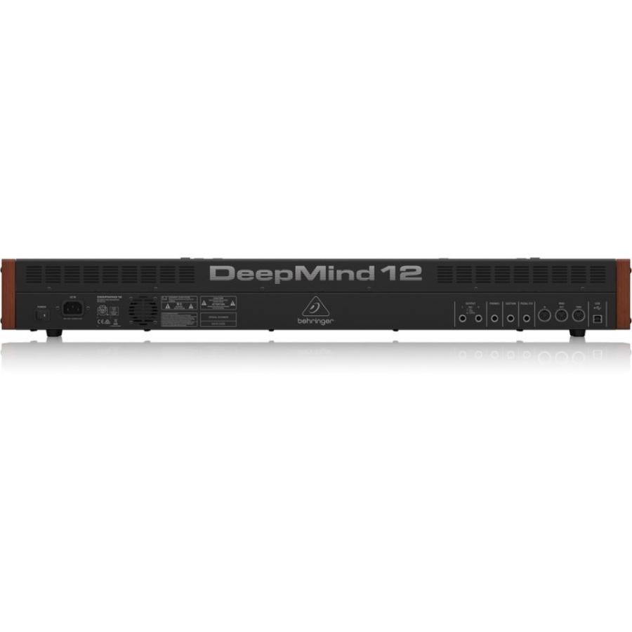 BEHRINGER DEEPMIND 12