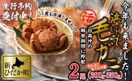 ＜2024年1月から順次発送＞ 北海道産 かに 浜ゆで 毛がに 2尾 計 600g 以上 ＜ 予約商品 ＞ 毛蟹 毛ガニ 北海道 冷蔵 毛蟹 毛ガニ けがに かに 蟹 カニ かに味噌 カニ味噌 新鮮 旬 ボイル 浜茹で 海鮮 海産物 新鮮 旬 魚介 蟹味噌 みそ 新ひだか町
