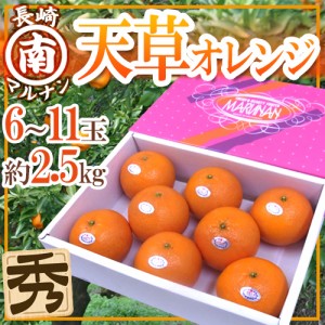 長崎 マルナン ”天草オレンジ” 秀品 6～11玉 約2.5kg 化粧箱 送料無料