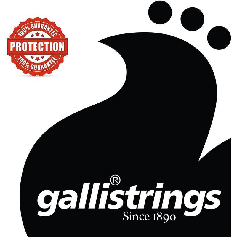 Gallistrings   SMF600 Medium マンドリン弦 .010-.033