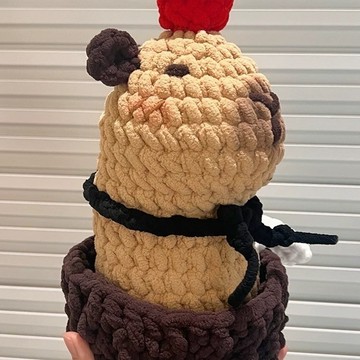 限時特賣中🎈初學者新手解悶編織diy材料包 手工卡皮巴拉玩偶水豚冰條綫 送朋友禮物 手工鉤織材料包 手作 鉤織毛線