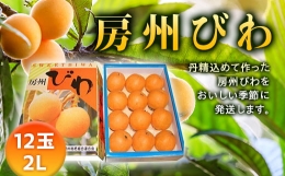 房州びわ 2Lサイズ 12玉入 ／ ビワ 枇杷 大玉 産地直送 千葉県 特産 フルーツ びわ 果物 F22X-004