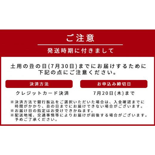 ふるさと納税 和歌山県 湯浅町 G7005_大型サイズ ふっくら柔らか 国産うなぎ 蒲焼き 2尾 (約4人前) 化粧箱入