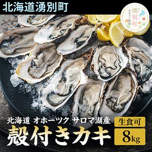 ふるさと納税 北海道 オホーツク サロマ湖産 殻付きカキ 生食可 8kg 牡蠣職人厳選 北海道湧別町