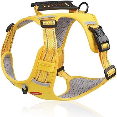 Service dog harness hot sale for small dogs