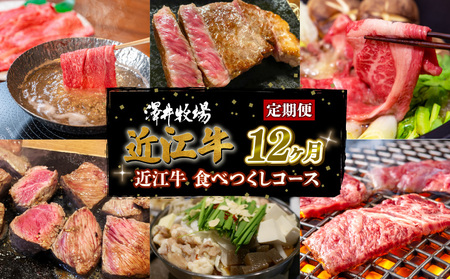 近江牛 特選 定期便 全12回 近江牛食べつくしコース ロース肉 もも肉 うで肉 肩ロース肉 バラ肉 サーロイン肉 ほほ肉 ホルモン 肉 焼きしゃぶ肉 黒毛和牛 牛肉 肉 すき焼き しゃぶしゃぶ 焼肉 焼き肉 ギフト 自宅用 高級 牛肉 国産 肉 ふるさと納税 ブランド牛 三大和牛 和牛 贈り物 内祝い 神戸牛 松阪牛 に並ぶ 日本三大和牛 定期便 滋賀県 竜王町 定期便 澤井牧場 定期便 送料無料 定期便)