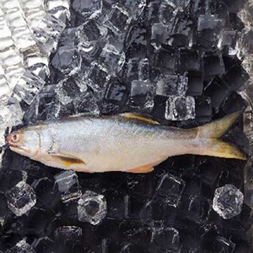 【吉品養生】安心水產_午仔魚(370g)