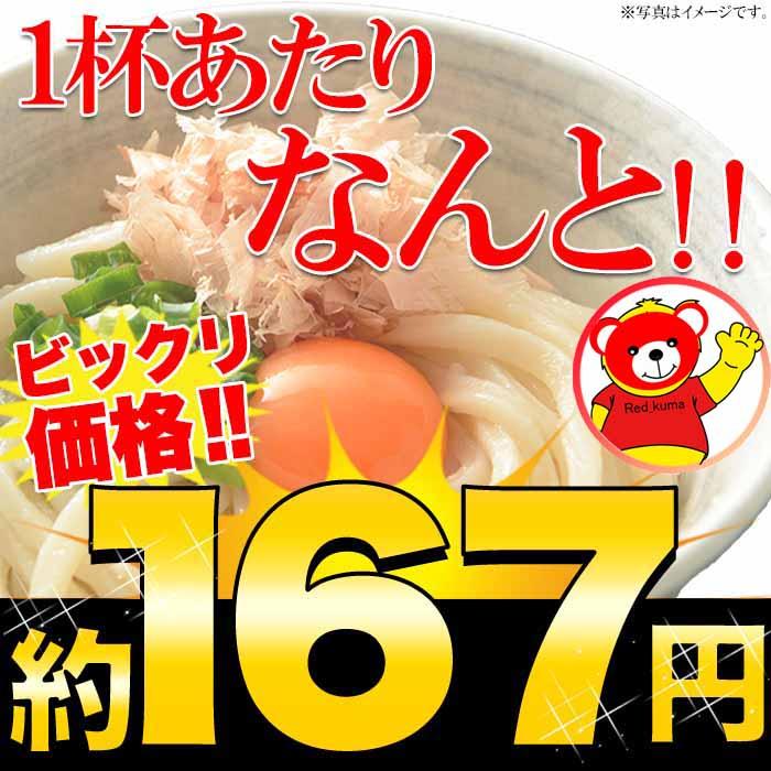 鎌田醤油特製ダシ醤油6袋付き!!讃岐うどん6食分600g（300g×2袋）-ゆうパケット出荷