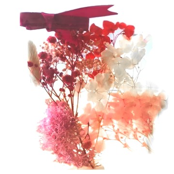 A-ONE 匯旺 浮游花DIY花材包 3包  戀愛之吻