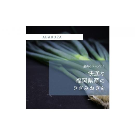 ふるさと納税 福岡県 朝倉市 野菜 カット ねぎ 3kg（1kg×3袋）長ネギ 配送不可エリア有り