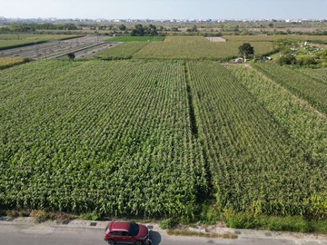 安定國中旁城鄉發展第一類	交流道、都計農地｜台南市安定區安定段