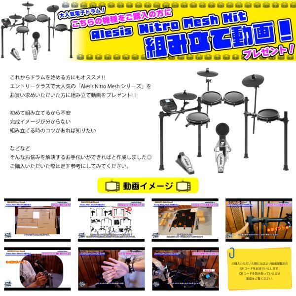 ALESIS(アレシス) NITRO MESH KIT スターターセット   セッティングマット   アンプ BELCAT 