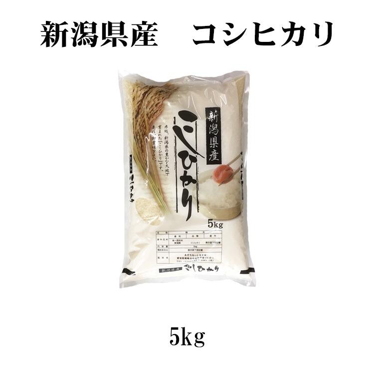 新米 お米 5kg 送料別 白米 コシヒカリ 新潟県産 令和5年産 お米 5キロ あす着く食品