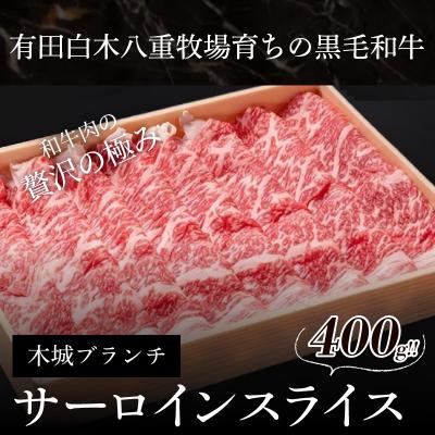 ふるさと納税 木城町 木城ブランチ　有田白木八重牧場育ちの黒毛和牛贅沢の極み芯柱サーロインスライス　400g