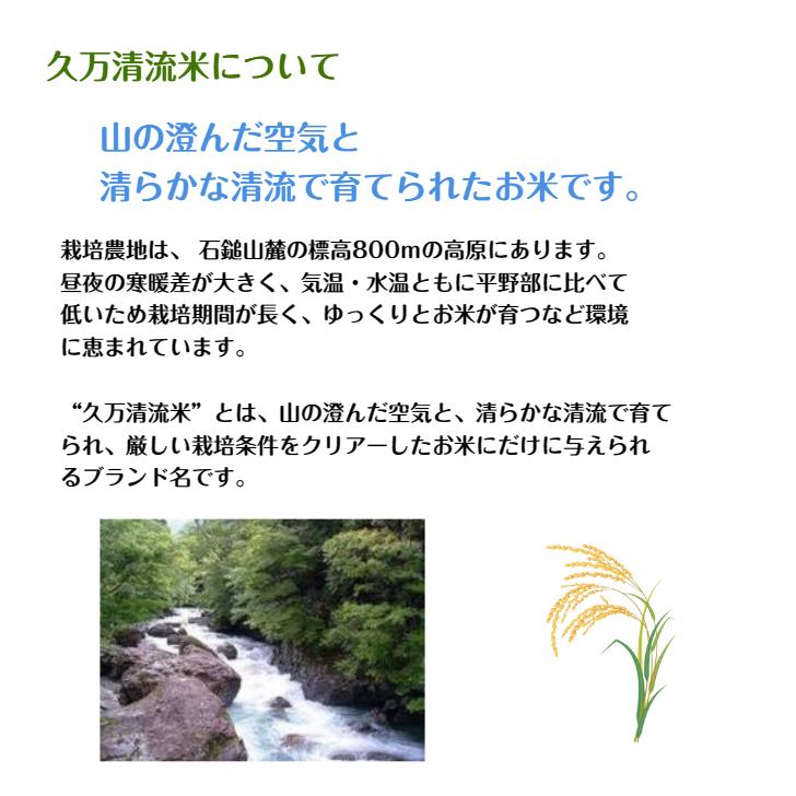 キヌヒカリ 玄米20kg 白米18kg 2023年産 石鎚山麓 久万高原 清流米 減農薬 特別栽培米 高原清流が育んだお米 百姓直送 送料無料